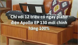 Chỉ với 12 triệu có ngay piano điện Apollo EP 130 mới chính hãng 100%